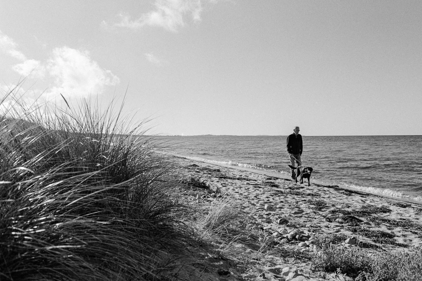 Langeland Series 02 RevueSC4 IlfordHP5plus D76 Can 006
