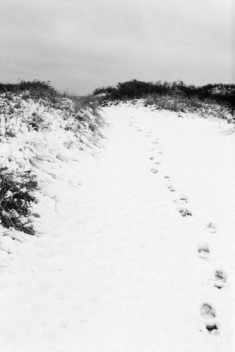 Footprints in snow leading along sandy dune path between coastal vegetation