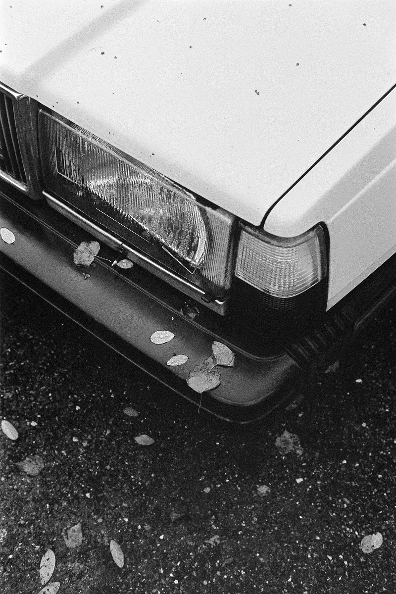 Detail of the left headlight and bumper of an older white Volvo. The headlight is fogged up with water droplets on the inside, and there are autumn leaves on the car.