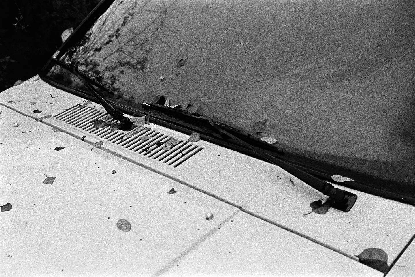 Close-up of the windshield of an older Volvo with autumn leaves stuck to the windshield wiper.