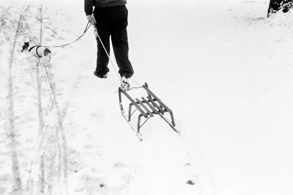 High-angle shot of a person and a small dog walking through deep snow, pulling a wooden sled and leaving tracks