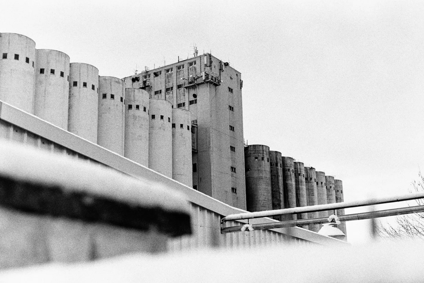 B&W film photo of massive industrial grain silos in Schwerin. Low-angle view highlighting geometric shapes and film grain.