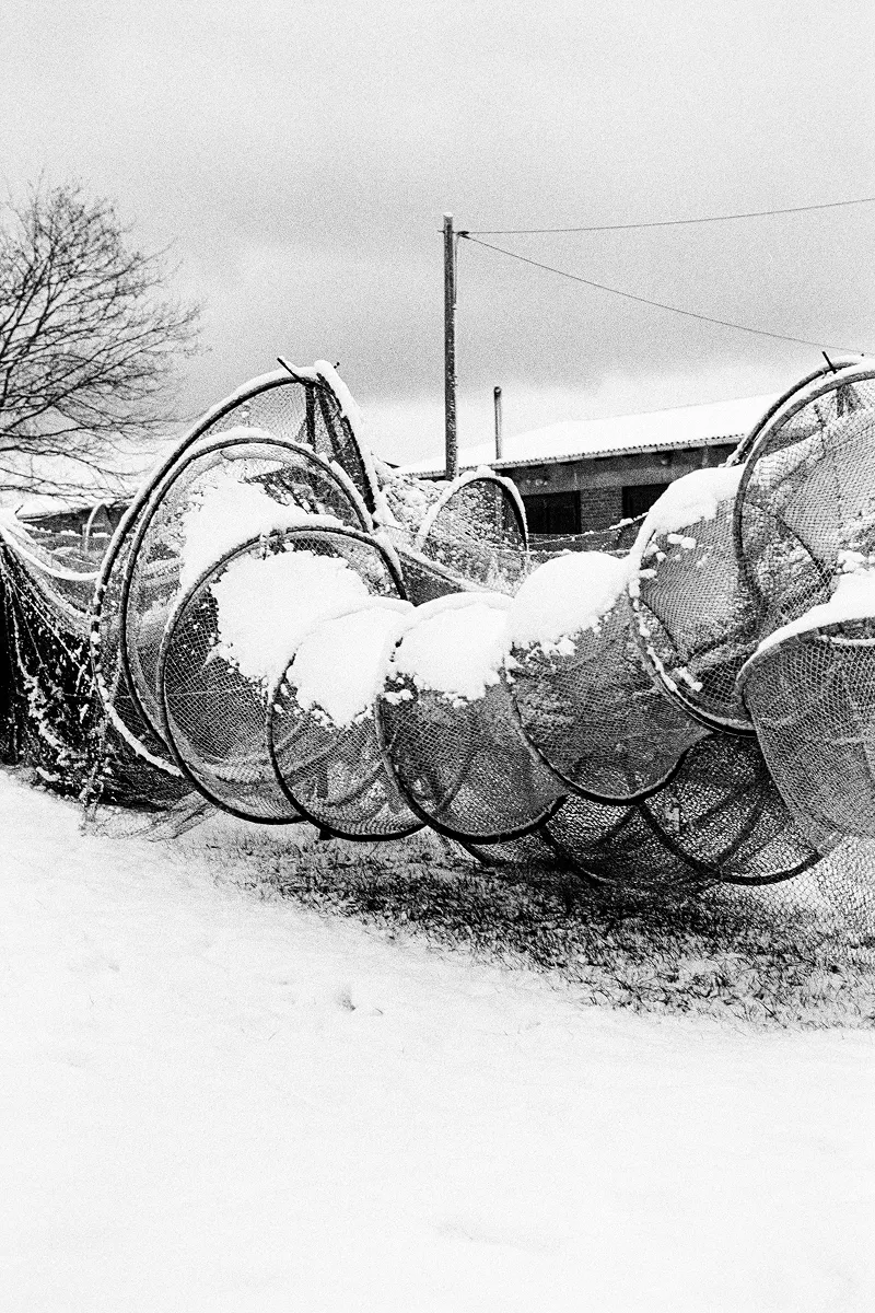 Grainy B&W shot of snow-draped hoop fishing nets. Repeating circular patterns create a textured, wintry maritime scene.