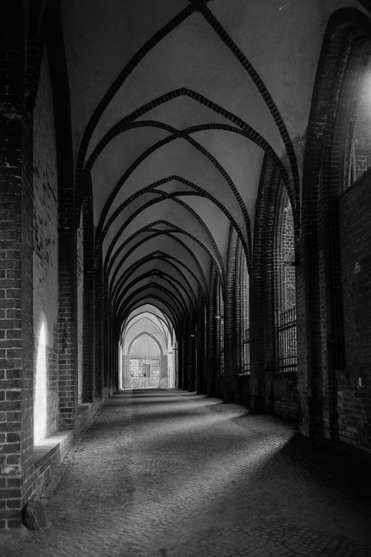 B&W film photo captures the intricate, ribbed gothic arches of a brick-lined cloister walkway with a gate.