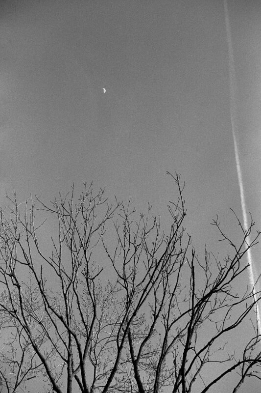 Minimalist B&W film photo of bare tree branches reaching toward a vast sky with a crescent moon and a faint vapor trail.