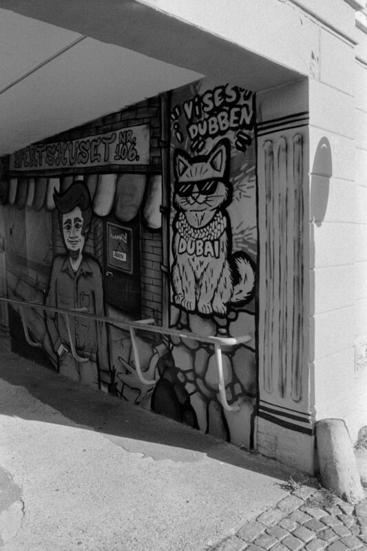 B&W film photo of urban street art featuring a cartoon man and a cat wearing sunglasses and a "DUBAI" necklace on a brick wall.
